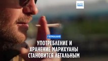 Германия легализовала выращивание, хранение и употребление марихуаны