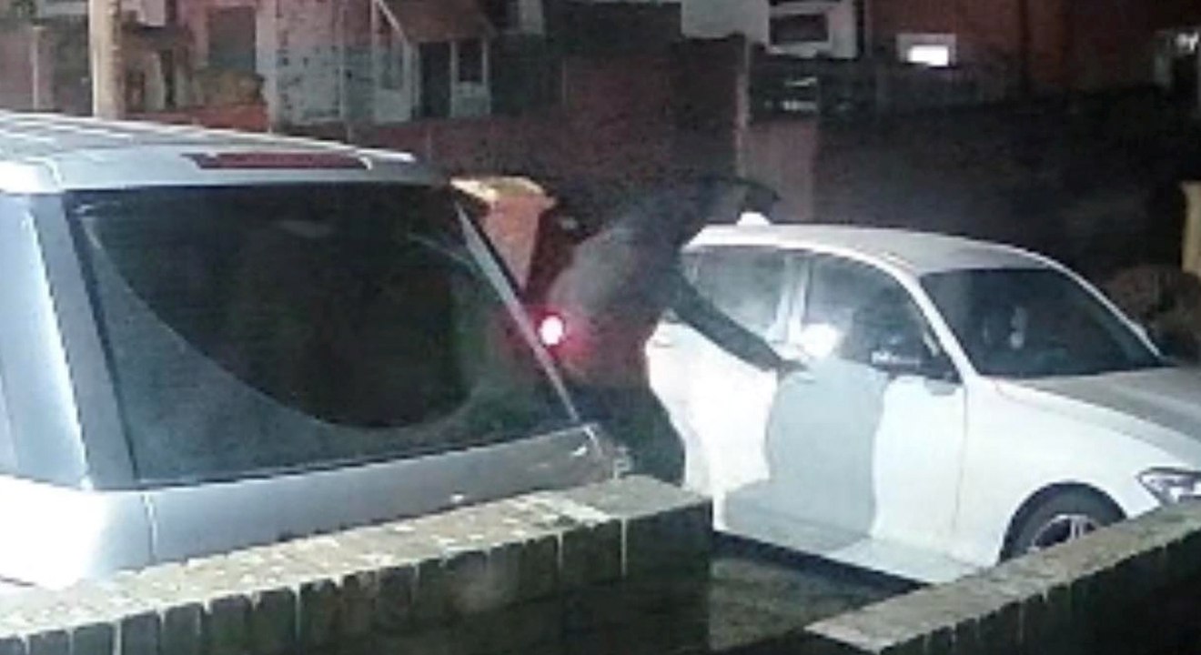 Mum fights off masked men with son in car in terrifying carjacking attempt