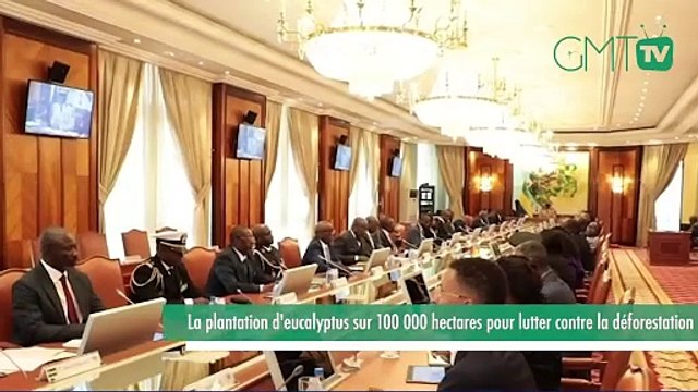 [#Reportage] Gabon : la plantation d'eucalyptus sur 100 000 hectares pour lutter contre la déforestation