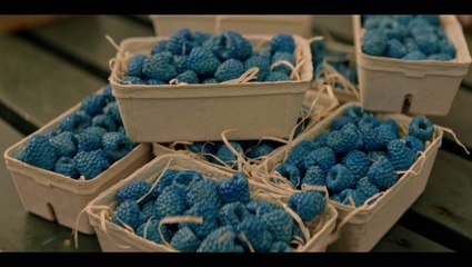 The UK’s only blue raspberry farm is now open - but all is not what it seems