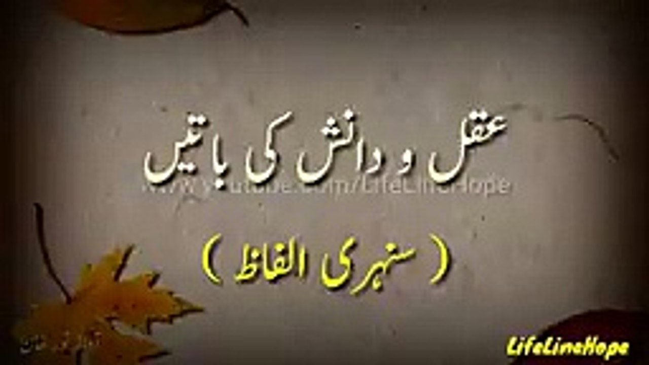 Saber Kerna Aur Qader Kerna... Best Urdu Quotations, Aqal-o-Danish Ki Baatei_144p