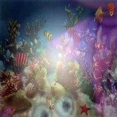 Dora The Explorer S03E08 Meet Diego