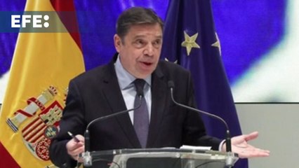 Planas: "La lluvia es "oro líquido" y una "excelente noticia" para el campo"