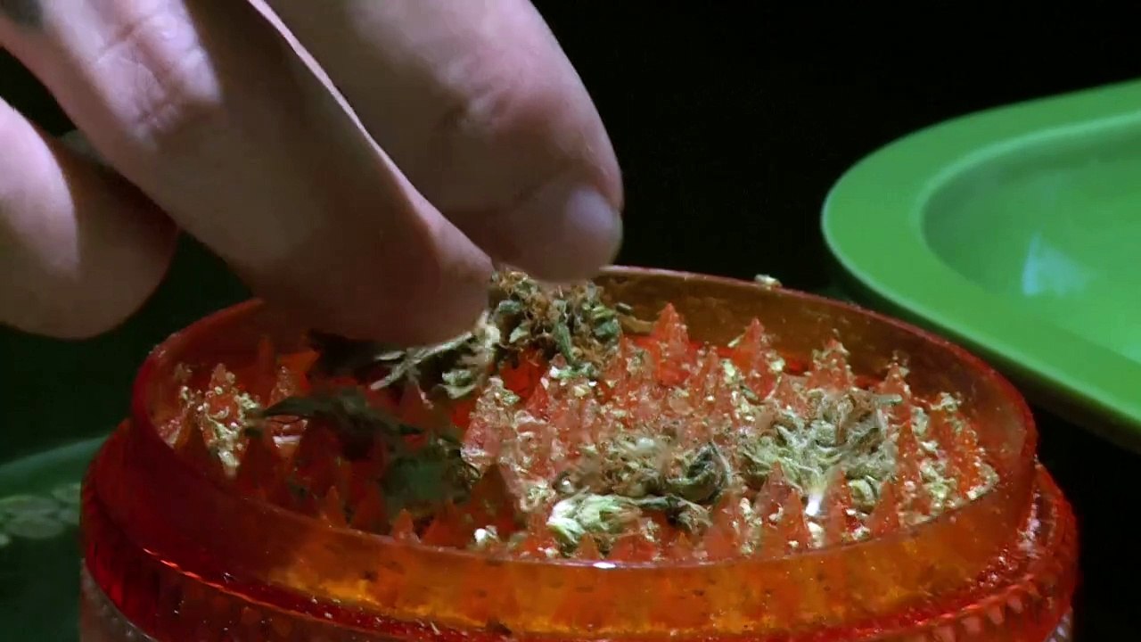 Cannabis-Freigabe: Hanfverband rät zu maßvollem Konsum