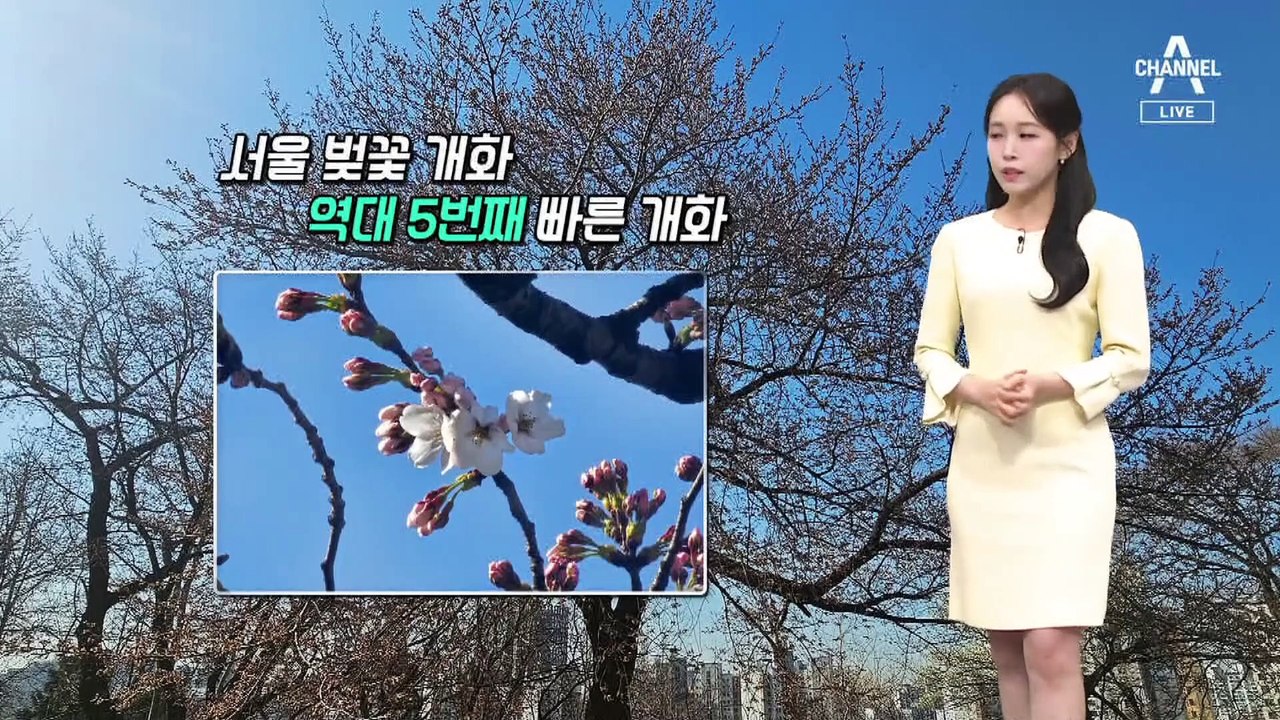 [날씨]서울 벚꽃 공식 개화…내일 더 따뜻, 서울 최고 23도