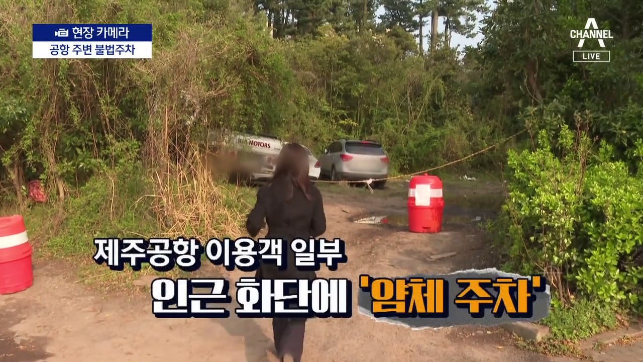 [현장 카메라]인도 넘어 화단까지…도 넘은 불법주차