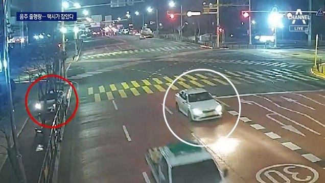 영업 포기하고…만취 운전자 추격한 택시기사