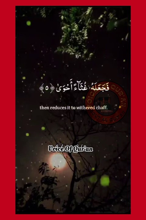 Calming Quran Recitation Récitation du Coran #islamic_video #Ramzan1445 #koran #Ramdhan2024 #VoiceOfQuranSoutAlQuran