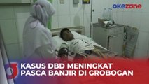 Pasca Banjir Kasus DBD Meningkat Tajam di Grobogan, 6 Anak Meninggal