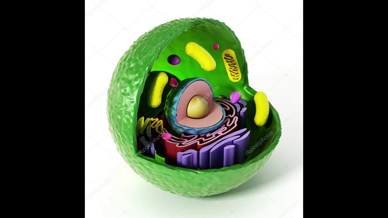 CLASES DE FISIOLOGIA capture - 23 enero 2024 - 10-33-24 p. m.