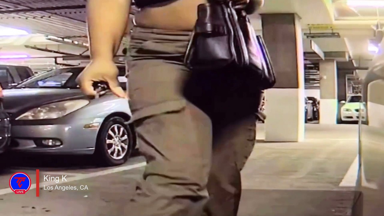 Woman Caught on Tesla Sentry Mode Keying My Car | TeslaCam Live