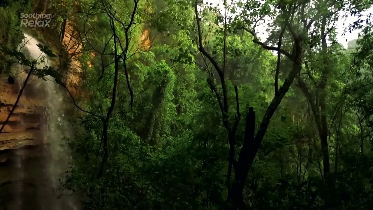 ASMR Nature - Birds and Forest Ambience with Waterfalls Sound.