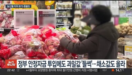 Video herunterladen: 유가에 환율도 불안…정부 '물가 잡기' 총력전