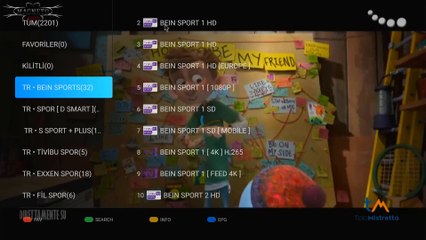 Vstro Player + 20 Adet M3U + MAC Playlist