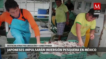Sader asegura que México y Japón buscan fortalecer inversión pesquera