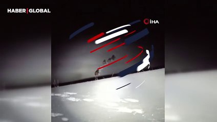 Muş'ta elektrik arızasını gideren ekiplere sürpriz: Ayılarla karşılaştılar