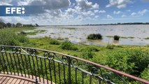 Almonte (Huelva) alerta sobre la colmatación de la marisma de Doñana próxima a El Rocío