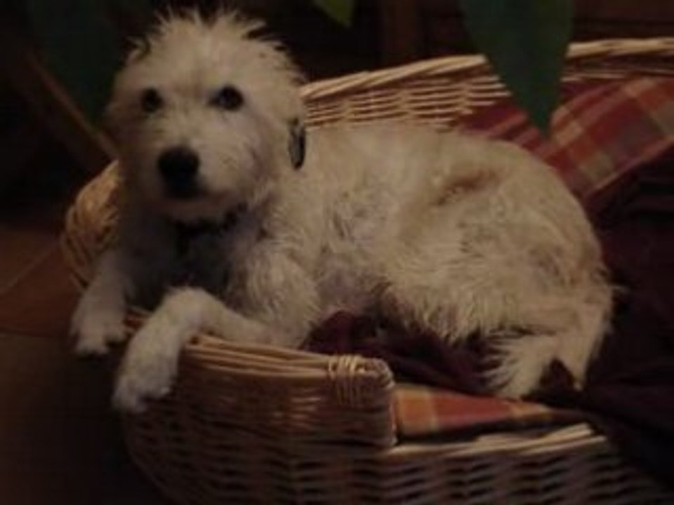 Daisy bouge de là
