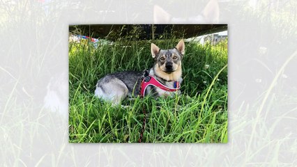 Top 10 Niches To Make Money Online