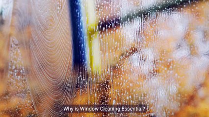 Expert Window Cleaning Services: Creating a Clear View | Enhance Your Home