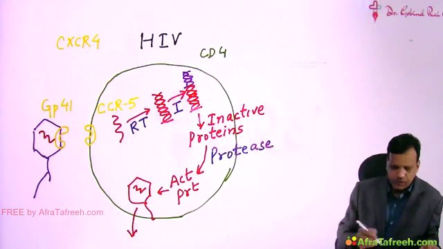 Anti-viral drugs // Anti-microbial drugs // pharmacology MBBS 2nd year