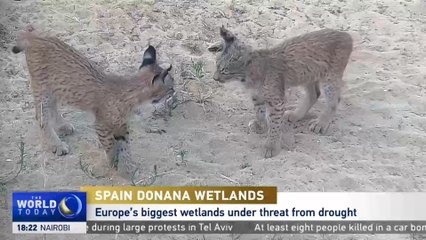 Europe's Biggest Wetlands Under Threat