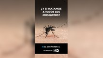 ¿Y si matamos a todos los mosquitos?