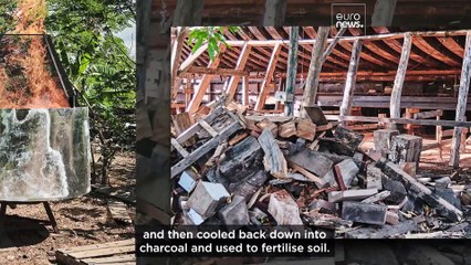 Watch: Sailcargo Inc. making waves in the shipping industry in Costa Rica