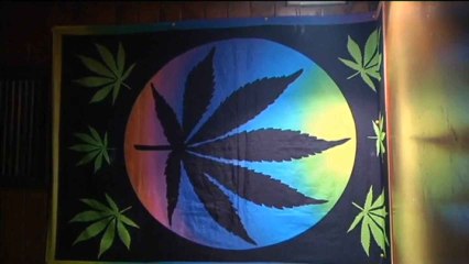 Alemania permite que la marihuana se cultive en casa y que se pueda fumar en público.