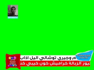 عمار عبدون مباشر شاشة أخضر