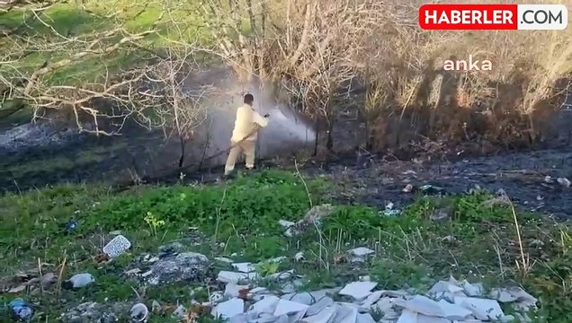 Sinop'ta Ormanlık Alanda Yangın Çıktı