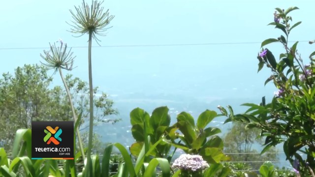 tn7-expulsion-de-ceniza-afecta-a-comunidades-vecinas-de-volcan-poas-010424