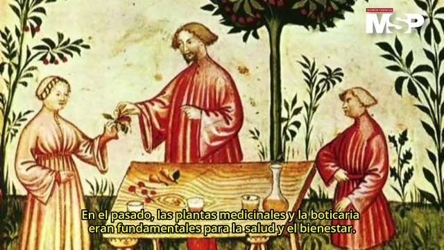 Raíces de la medicina en la biblia: plantas curativas y boticarias en la antigüedad