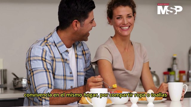 Enfermedades bíblicas: ¿Qué es la sarna humana y cómo actúa? - #ExclusivoMSP