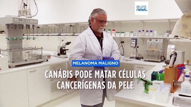 Canábis pode ajudar a travar cancro da pele