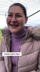 Chasse aux Sextoys a Estinnes