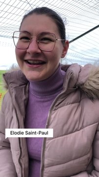 Chasse aux Sextoys a Estinnes