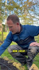 Download Video: On devait vous faire un Potager Tour qui s’est finalement transformé en récap des projets au potager. Mais promis, une vidéo arrive bientôt pour découvrir les semis du potager et de la serre ‍