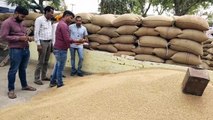 Procurement of wheat did not start at support price. Angry farmers returned empty-handed with the crop...watch video.