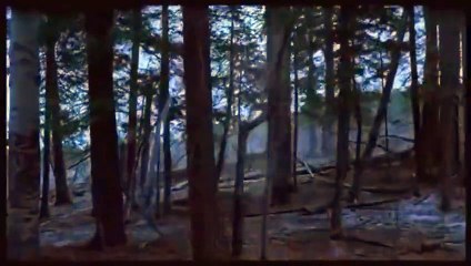 Les disparues (2003) - Bande annonce