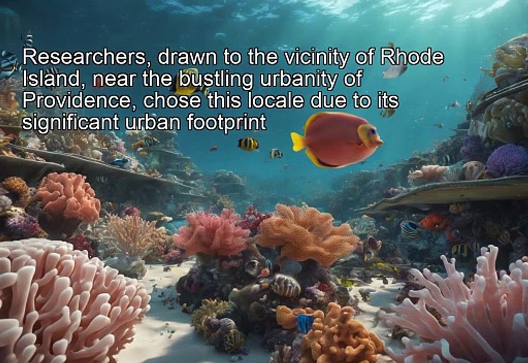 "Evolving Resilience: Coral's Plastic Affinity"