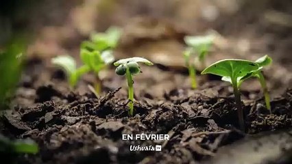 Sécheresse en Europe : catastrophe en vue - Bande annonce