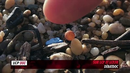 Cher plastique, une histoire d'amour toxique - Bande annonce