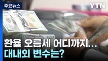 환율 오름세 어디까지...대내외 변수는? / YTN