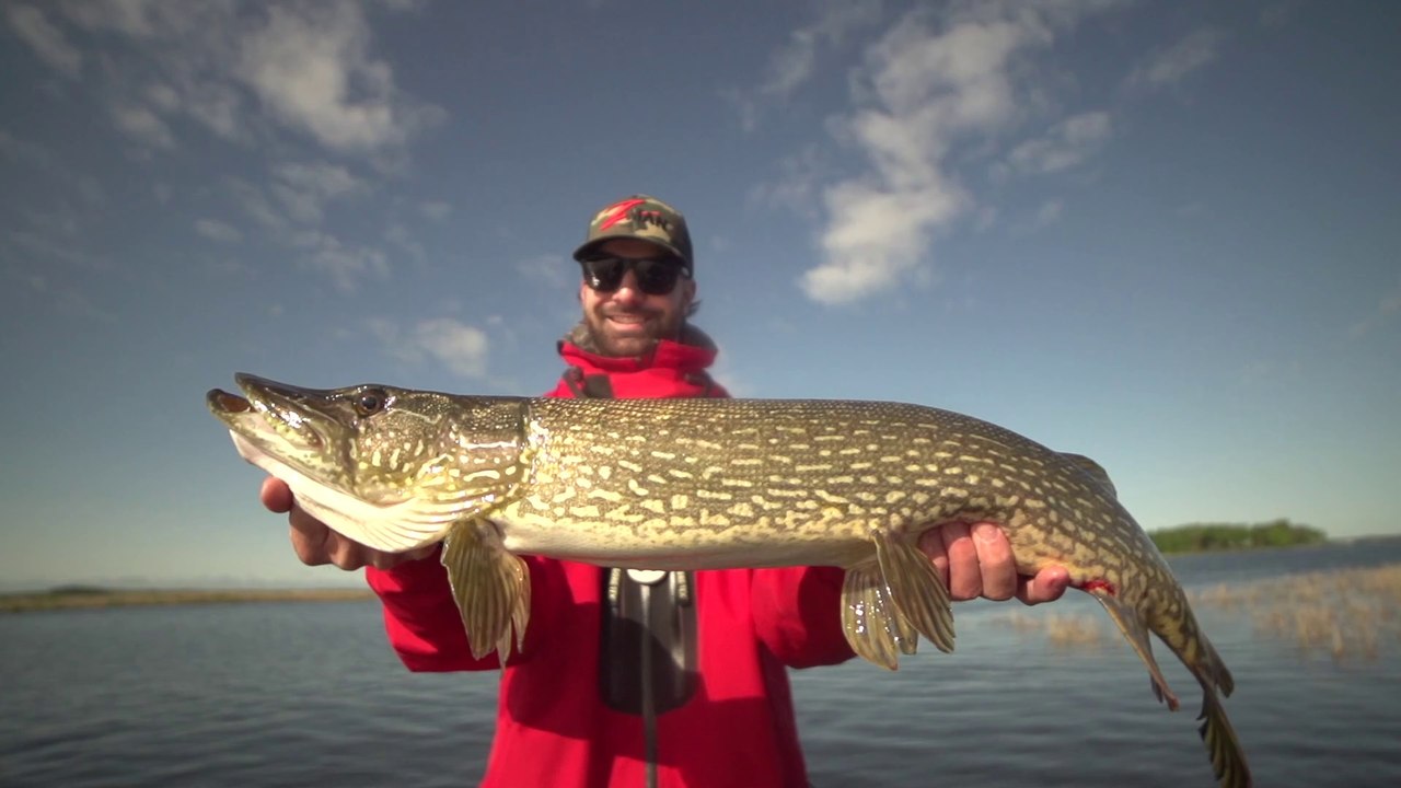 Pêche au brochet sur le lac Saint François
