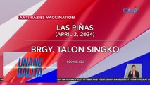Ilang lokal na pamahalaan sa Metro Manila, may libreng anti-rabies vaccination  | UB