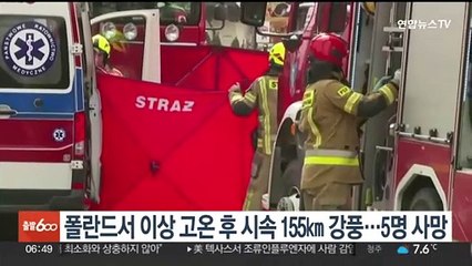 폴란드서 이상 고온 후 시속 155㎞ 강풍…5명 사망