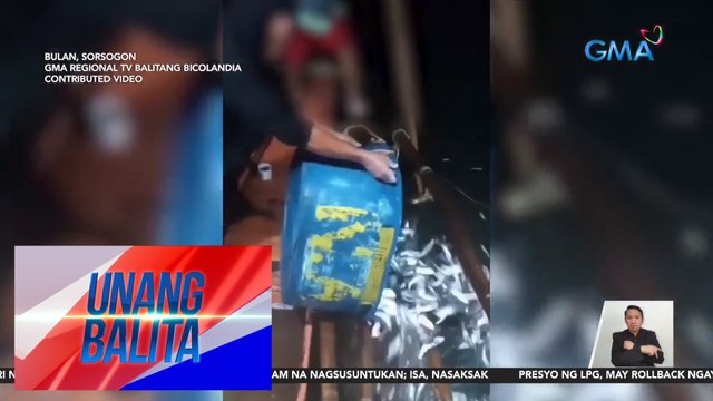 Banye-banyerang isdang tamban, itinapon sa dagat dahil hindi naibenta | UB