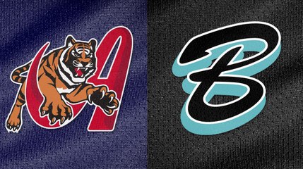 TIGRES DE ARAGUA vs BRAVOS DE MARGARITA 08/11/2023