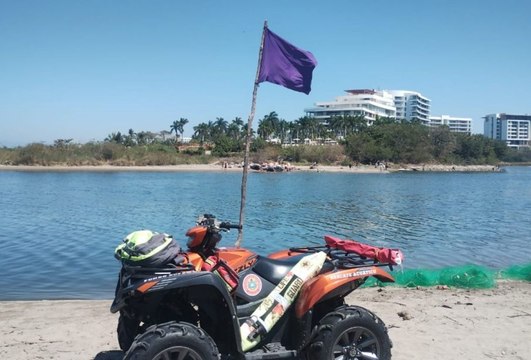 En plenas vacaciones aparece cocodrilo en playa Holi de Vallarta y ponen bandera morada